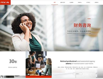仲巴金融财务